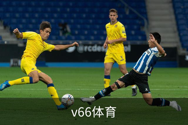 v66体育公司简介